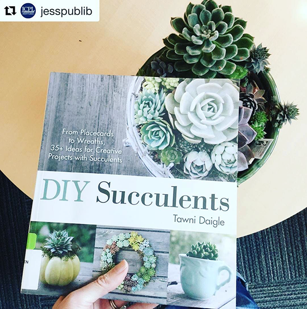 Succulents for #bookfacefriday