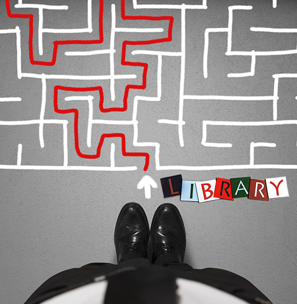 Don't Get Mad, Get Savvy: Sustainable Thinking for the Future of Libraries