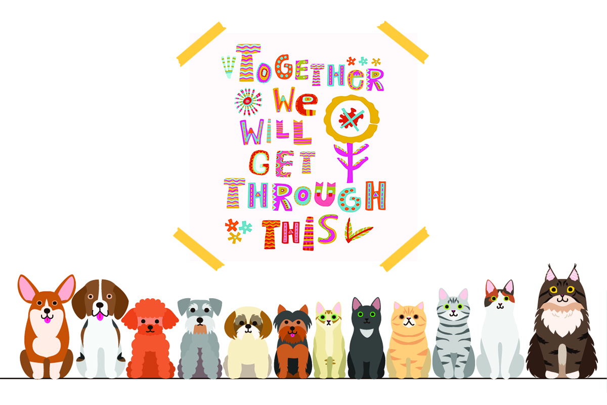 Boosting Morale in the Workplace