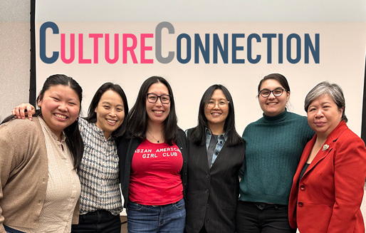 Culture Connection: API Culture Event