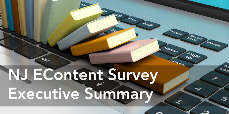 NJ EContent Survey Executive Summary