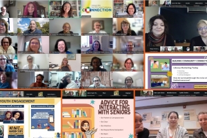 Recap: LibraryLinkNJ Fall 2025 Virtual Conference - Connection