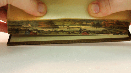 19th century fore-edge illustration